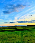 卓律涤的个人资料头像