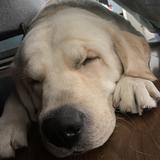 唐福根爸爸头像