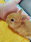 小手冰凉儿的个人资料头像