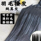 直爽梦想Sc头像