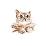 君宝逍遥的个人资料头像