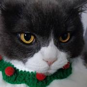 宁儿861的个人资料头像