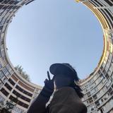 信子743头像