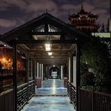 TaoJ475头像