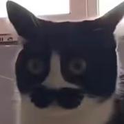 用户5869168561371的个人资料头像