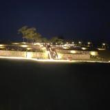 博学多才的橘子RW头像