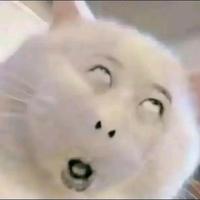 迎风万里鹏正举头像
