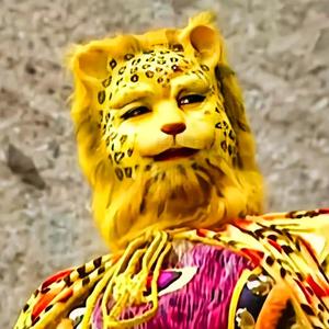 聪明勇往直前梦想成真头像