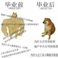 aa541888头像