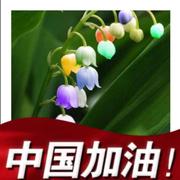 freeman217的个人资料头像