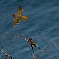 一路向北柒肆玖头像