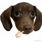 用户286281009340的个人资料头像