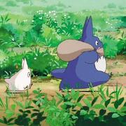 GaleBird的个人资料头像