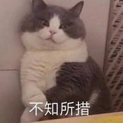 啵3的个人资料头像