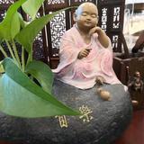 热情春风Kls头像
