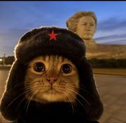 太白云生的个人资料头像