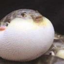 未名杭的个人资料头像