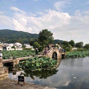 听风吹头像