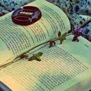 SevenL的个人资料头像