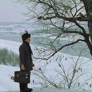 裘德的个人资料头像