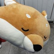 一倾的个人资料头像