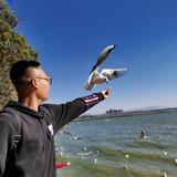 寻见头像