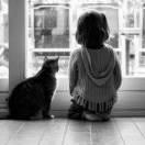 kyoo的个人资料头像