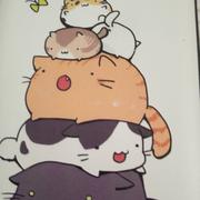 kun455的个人资料头像