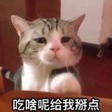 changech3n头像