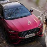 雾都王祖贤头像