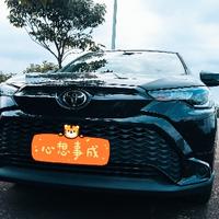 广州是大团团呀头像