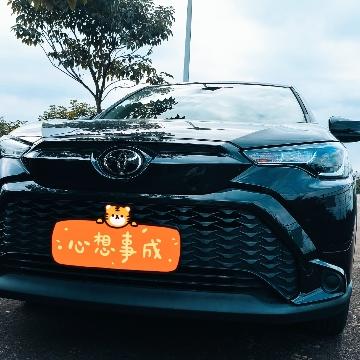 广州是大团团呀头像