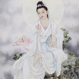 陪读麻头像