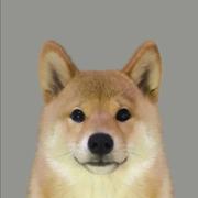 用户5467606525172的个人资料头像