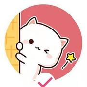 程序媛和她的猫的个人资料头像