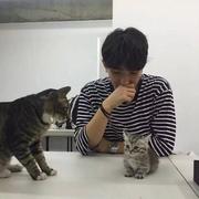 Anchor丶的个人资料头像