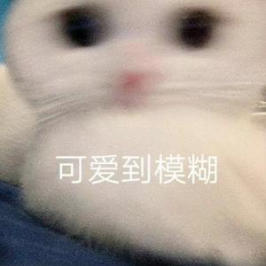 淡泊的熊猫90头像