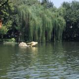 碧海蓝天46193头像