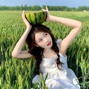 yangsoe的个人资料头像