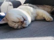 Bravooo_的个人资料头像