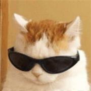 云行的个人资料头像