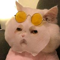 爱喝甜豆浆头像
