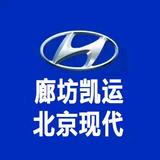 廊坊凯运北京现代头像