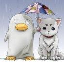 萨达哈鲁君的个人资料头像