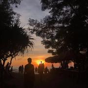 会飞的想念的个人资料头像