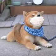 万佳的个人资料头像