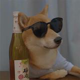 行行行行行820头像