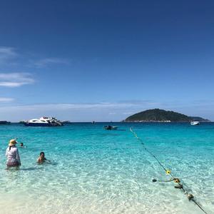 旅行家书包4v3头像