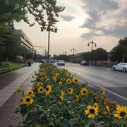 鱼子西的个人资料头像