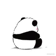 June_zxy的个人资料头像